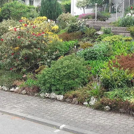 Haus Sonnenhuegel Apartment Winterberg Exterior photo