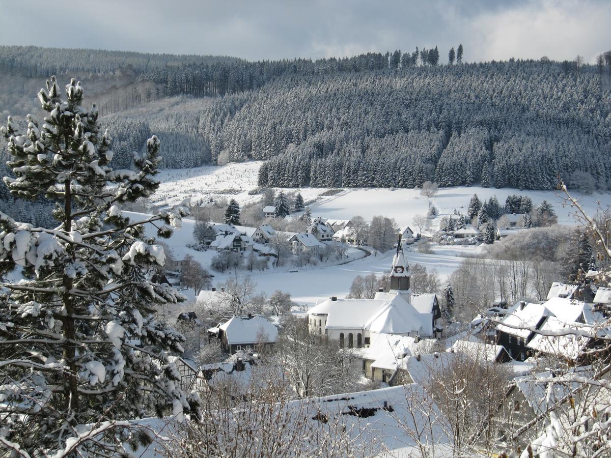 Haus Sonnenhuegel Appartement Winterberg